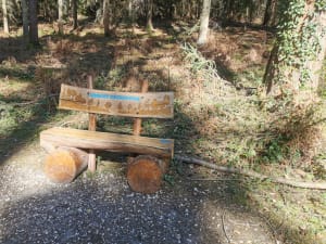 Balade découverte dans la forêt domaniale de Montfort - Illeville-sur-Montfort - 4