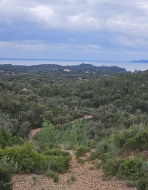 Lac de Trapan et son écrin de verdure - Bormes-les-Mimosas - 47