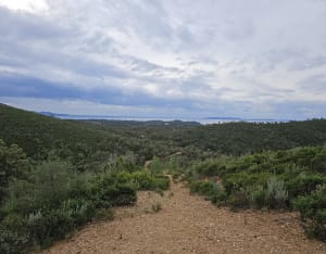 Lac de Trapan et son écrin de verdure - Bormes-les-Mimosas - 49