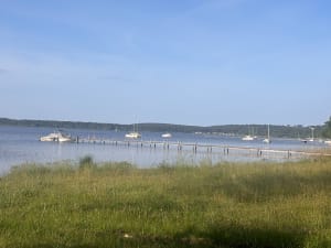Balade Jusqu'au Tedey - Lacanau - 10