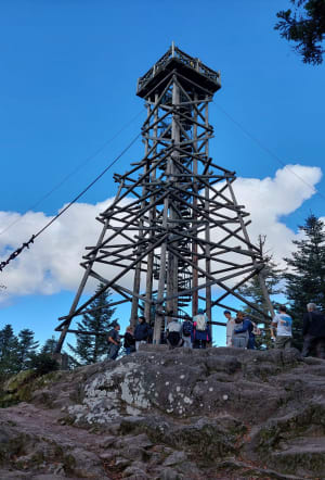 Tour du lac de Gérardmer et haut de Mérelle - Gérardmer - 67