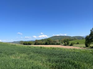 Sur la trace des Chartreux - Charavines - 8