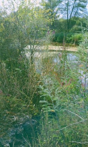 Petite reprise trail dans le canton de Palayson - Roquebrune-sur-Argens - 3
