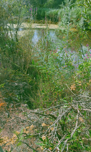 Petite reprise trail dans le canton de Palayson - Roquebrune-sur-Argens - 4