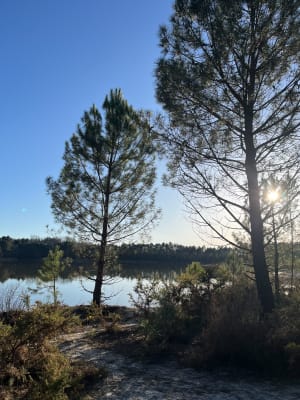 Martignas-sur-Jalle et détente le long de la Jalle - Martignas-sur-Jalle - 10