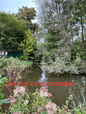 Houlle, ses paysages champêtres et sa rivière apaisante - Houlle - 7