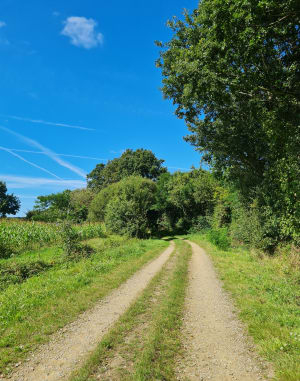 Circuit de la Roche Saint Louis - Sainte-Pazanne - 7