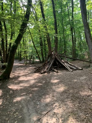 Tour du Roc de Chère - Talloires-Montmin - 9