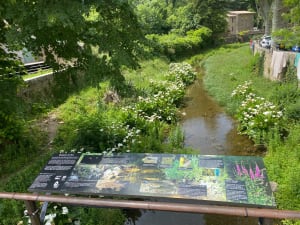 Termen de Onneembare - Termes - 6
