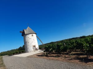 Balade en vélo autour du domaine de Mourat - Mareuil-sur-Lay-Dissais - 2