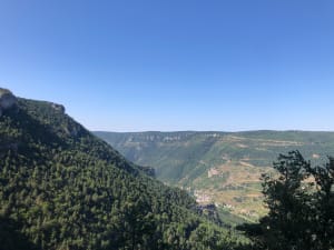 Escapade à flanc de Gorges et Château de Blanquefort - Les Vignes - 5