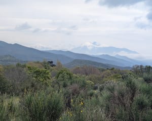 Boucle dans le massif d’Ille-sur-Têt - Ille-sur-Têt - 10
