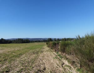 Balade à la Chazotte - Peyre en Aubrac - 2