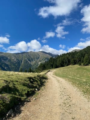 Beklimming van de Canigou-piek en betoverende panorama's - Valmanya - 8
