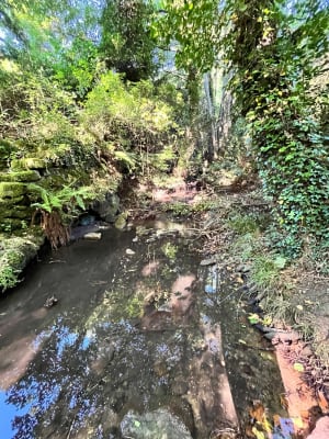Escapade au lavoir des Sagnes - Aurelie - 7