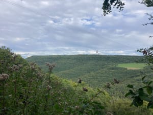 Notre-Dame d'Étang et forêt bourguignonne - La Cude - 40
