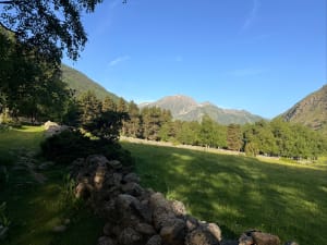 Rencontre d'un mouflons et couple d'Aigles à Porté Puymorens - Porté-Puymorens - 5