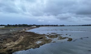 Tour l'île Tudy - Île-Tudy - 15