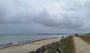 Tour l'île Tudy - Île-Tudy - 17