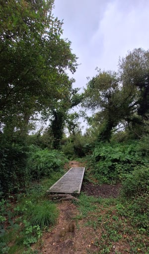 Tour l'île Tudy - Île-Tudy - 19
