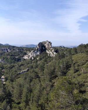 Val d'Enfer et crêtes de Baumayrane - Les Baux-de-Provence - 7