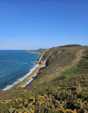 De la lande aux deux caps - Plévenon - 34