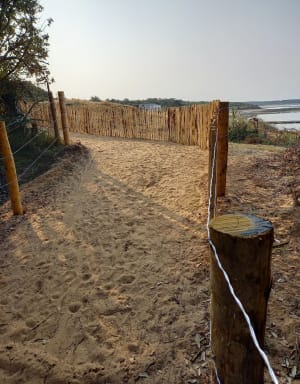 Bourgenay, port, plage du Veillon, marais - David - 8