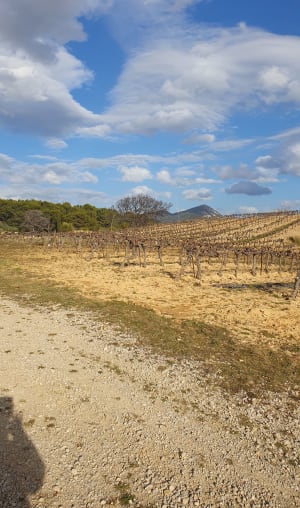 Balade autour de Mirabel Aux Baronnies - Mirabel-aux-Baronnies - 17