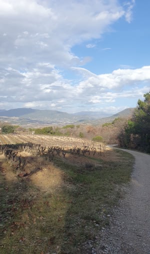 Balade autour de Mirabel Aux Baronnies - Mirabel-aux-Baronnies - 18