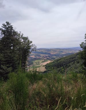 Circuit Brou - Mont Jonc - Daniel - 6