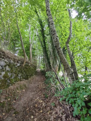 Balade à la Pierre du Loup depuis Orbey - Orbey - 2