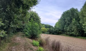 Balade dans notre campagne entre Dangé-Saint-Romain et Vaux - Dangé-Saint-Romain - 11
