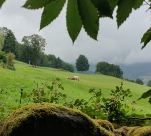 Balade à la Pierre du Loup depuis Orbey - Orbey - 3