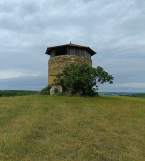 Petite promenade dans les bois à Saint-Arailles - Saint-Arailles - 7