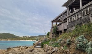 Balade d’Avril, ventée aux plages de Bodre et Ghjunchetu ️ - Corbara - 18