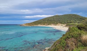 Balade d’Avril, ventée aux plages de Bodre et Ghjunchetu ️ - Corbara - 19