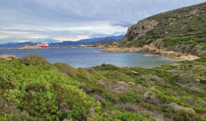 Balade d’Avril, ventée aux plages de Bodre et Ghjunchetu ️ - Corbara - 21