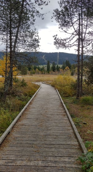 Jusqu’au lac des Rousses - Les Rousses - 12