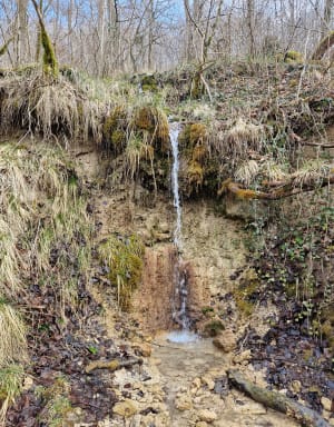 La source des Anges - Neufchef - 7