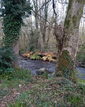 Balade printanière et estivale de Kernot à Sainte Barbe - Le Faouët - 6