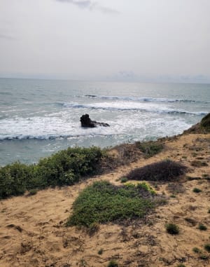 Pointe du Payré-pad - Jard-sur-Mer - 126