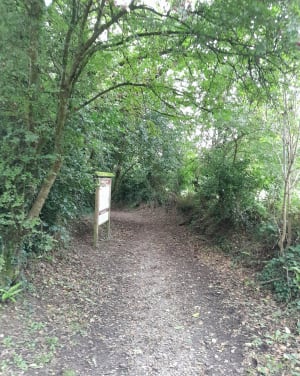 Balade en  forêt à Valognes - Valognes - 4