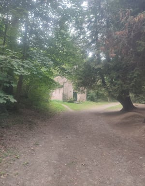 Promenade bucolique à travers les bois de la Forêt de Grimbosq - Grimbosq - 22