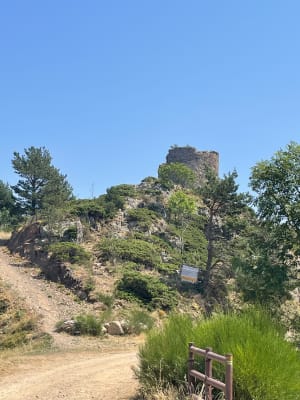 Le Puig de l'Estella - Corsavy - 9