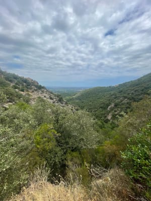 Au fil de l'eau de Laroque-des-Albères - Laroque-des-Albères - 14