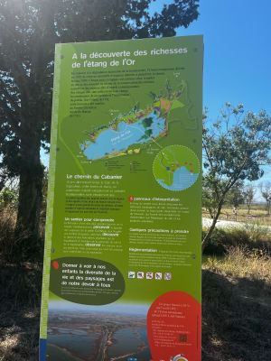 Balade au bord de l'étang de l'Or, Mauguio - Mauguio - 11