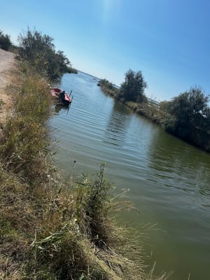 Balade au bord de l'étang de l'Or, Mauguio - Mauguio - 12