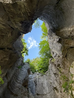 Sentier géologique de la grotte d'Orjobet - Collonges-sous-Salève - 3