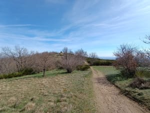 Balade sur la Lande - Le Perréon - 6