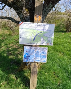 Balade sur la Lande - Le Perréon - 9